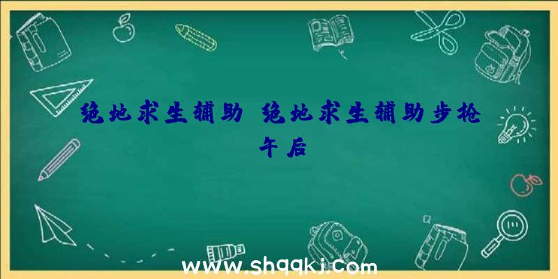 绝地求生辅助、绝地求生辅助步枪午后