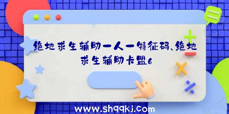 绝地求生辅助一人一特征码、绝地求生辅助卡盟6