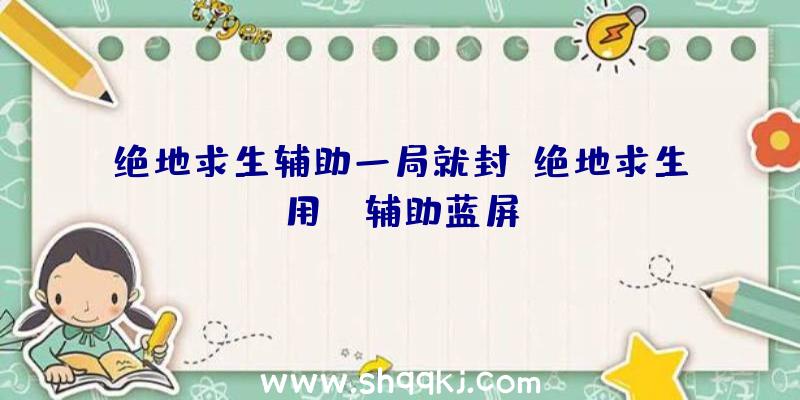 绝地求生辅助一局就封、绝地求生用bl辅助蓝屏