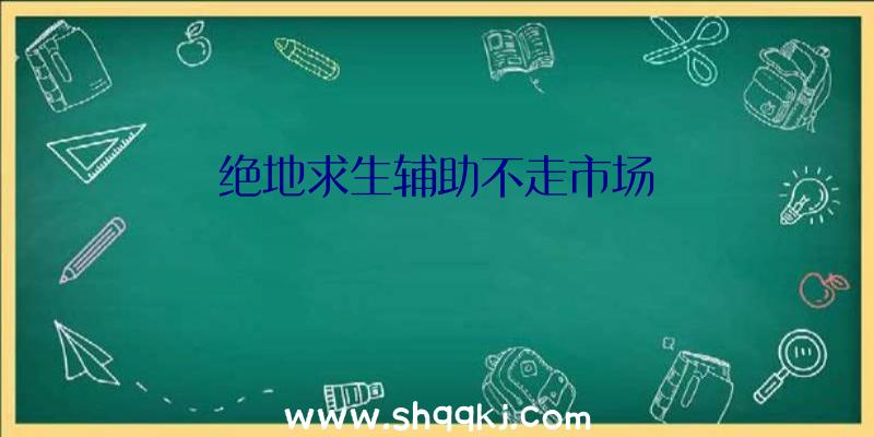 绝地求生辅助不走市场