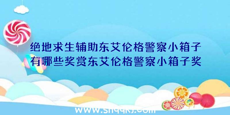 绝地求生辅助东艾伦格警察小箱子有哪些奖赏东艾伦格警察小箱子奖赏汇