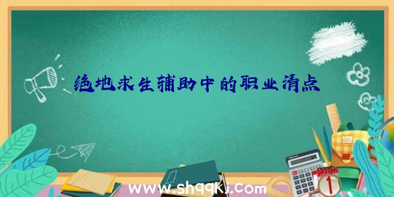 绝地求生辅助中的职业清点