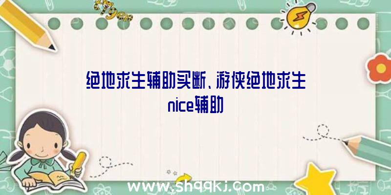 绝地求生辅助买断、游侠绝地求生nice辅助