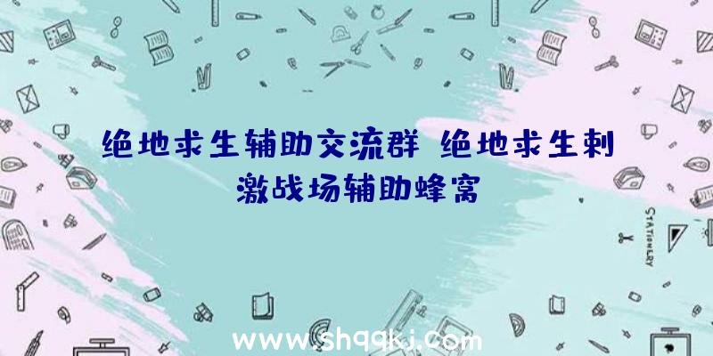 绝地求生辅助交流群、绝地求生剌激战场辅助蜂窝