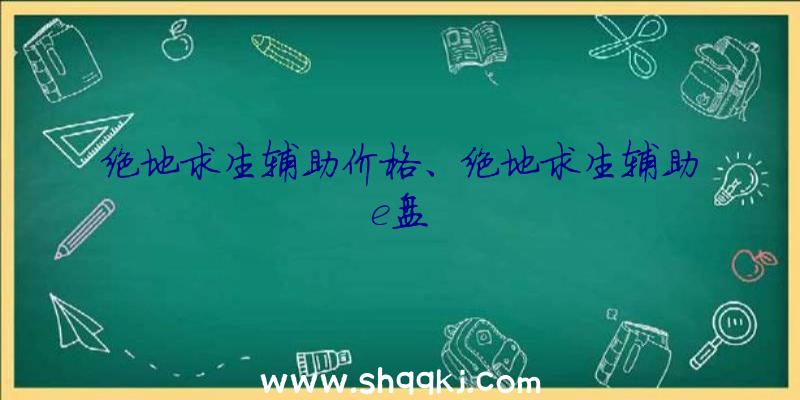 绝地求生辅助价格、绝地求生辅助e盘