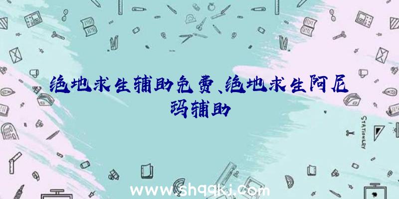 绝地求生辅助免费、绝地求生阿尼玛辅助