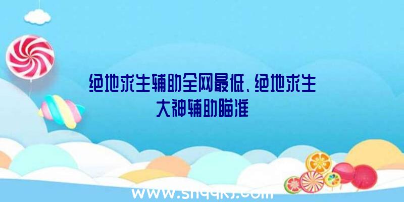 绝地求生辅助全网最低、绝地求生大神辅助瞄准