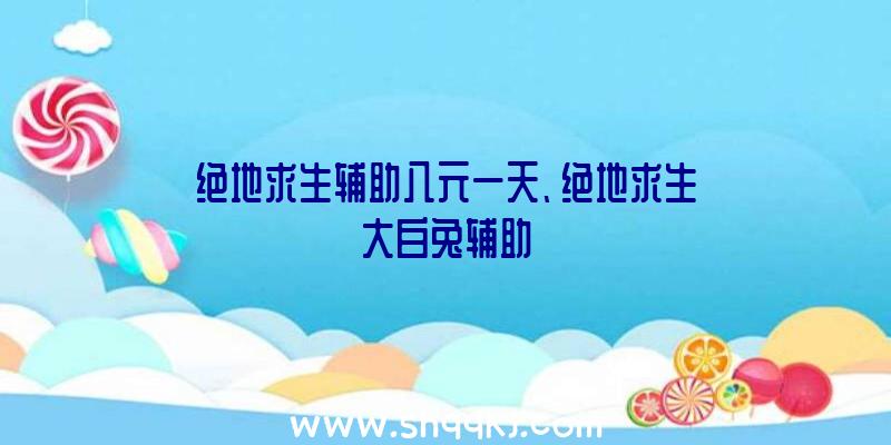 绝地求生辅助八元一天、绝地求生大白兔辅助