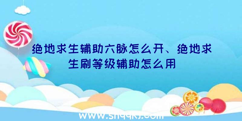 绝地求生辅助六脉怎么开、绝地求生刷等级辅助怎么用