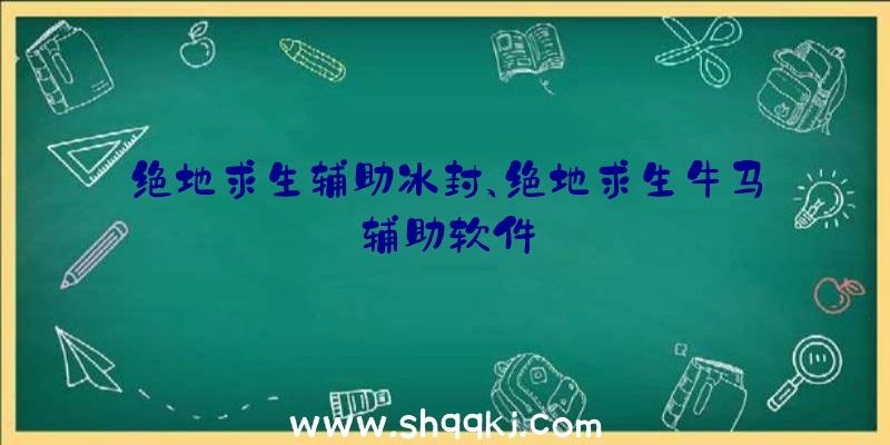 绝地求生辅助冰封、绝地求生牛马辅助软件