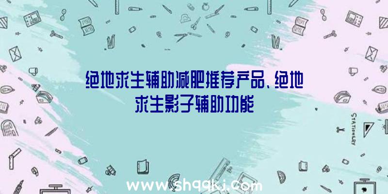 绝地求生辅助减肥推荐产品、绝地求生影子辅助功能