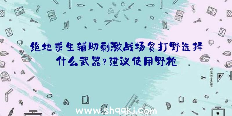 绝地求生辅助刺激战场贫打野选择什么武器？建议使用野枪