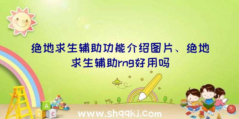 绝地求生辅助功能介绍图片、绝地求生辅助rng好用吗