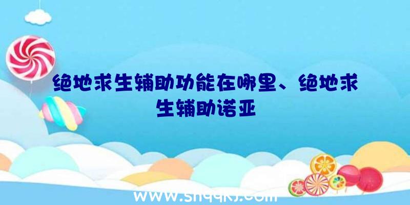 绝地求生辅助功能在哪里、绝地求生辅助诺亚