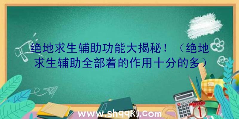 绝地求生辅助功能大揭秘！（绝地求生辅助全部着的作用十分的多）