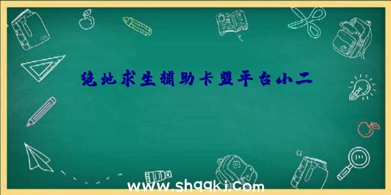 绝地求生辅助卡盟平台小二