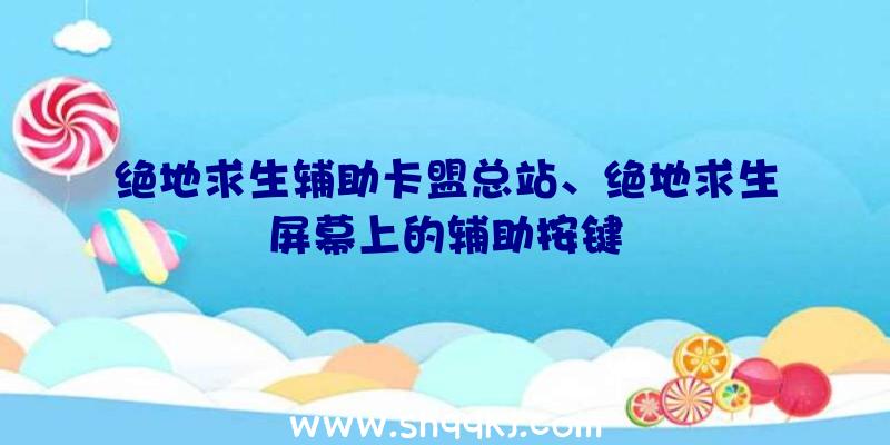 绝地求生辅助卡盟总站、绝地求生屏幕上的辅助按键