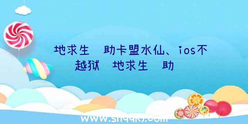 绝地求生辅助卡盟水仙、ios不越狱绝地求生辅助