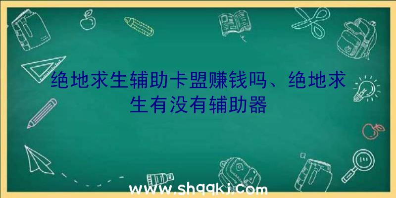 绝地求生辅助卡盟赚钱吗、绝地求生有没有辅助器