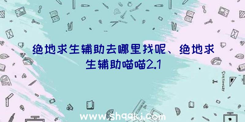 绝地求生辅助去哪里找呢、绝地求生辅助喵喵2.1