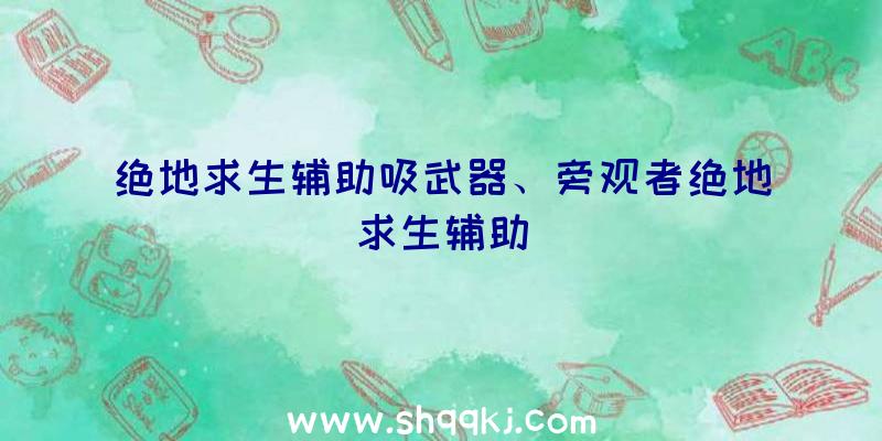 绝地求生辅助吸武器、旁观者绝地求生辅助