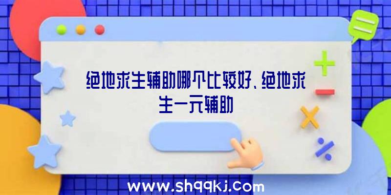 绝地求生辅助哪个比较好、绝地求生一元辅助