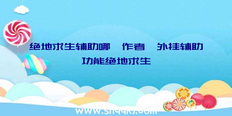 绝地求生辅助哪吒作者、外挂辅助功能绝地求生