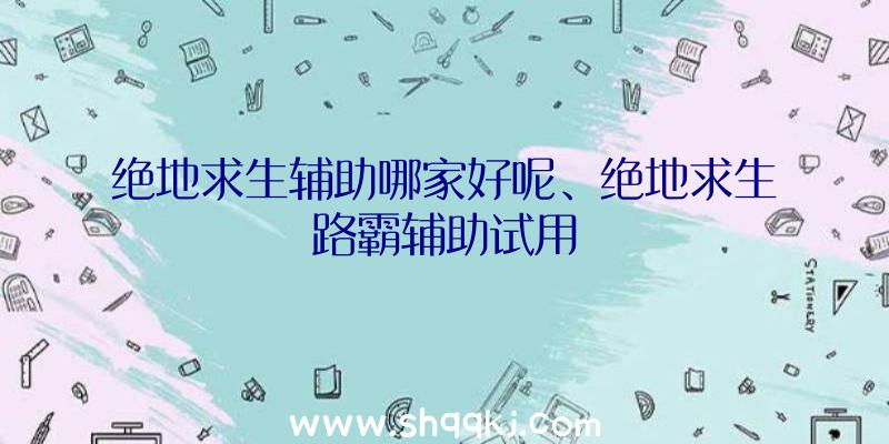 绝地求生辅助哪家好呢、绝地求生路霸辅助试用