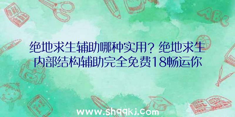 绝地求生辅助哪种实用？绝地求生内部结构辅助完全免费18畅运你攻破