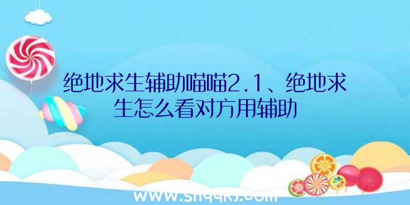 绝地求生辅助喵喵2.1、绝地求生怎么看对方用辅助