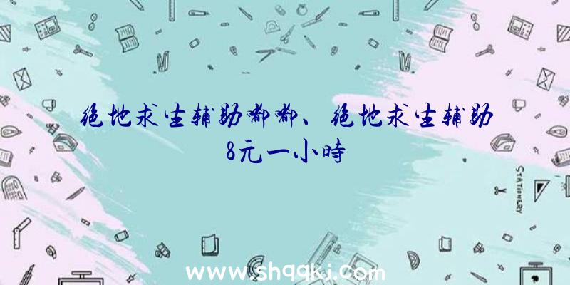 绝地求生辅助嘟嘟、绝地求生辅助8元一小时