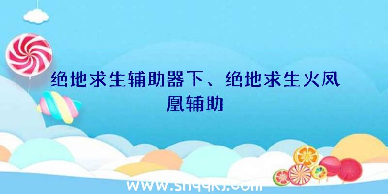 绝地求生辅助器下、绝地求生火凤凰辅助