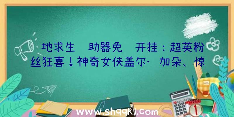 绝地求生辅助器免费开挂：超英粉丝狂喜！神奇女侠盖尔·加朵、惊异队长布丽·拉尔森确认列席往年TGA