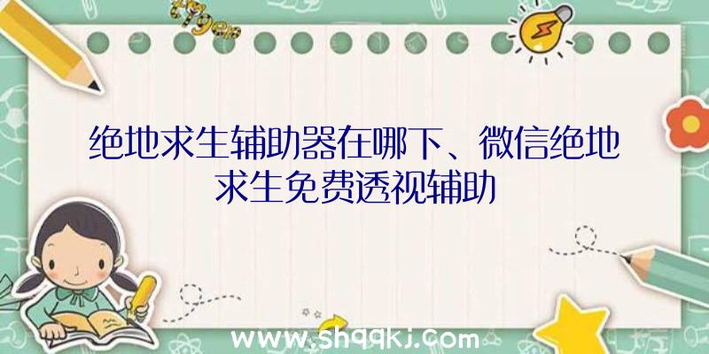 绝地求生辅助器在哪下、微信绝地求生免费透视辅助