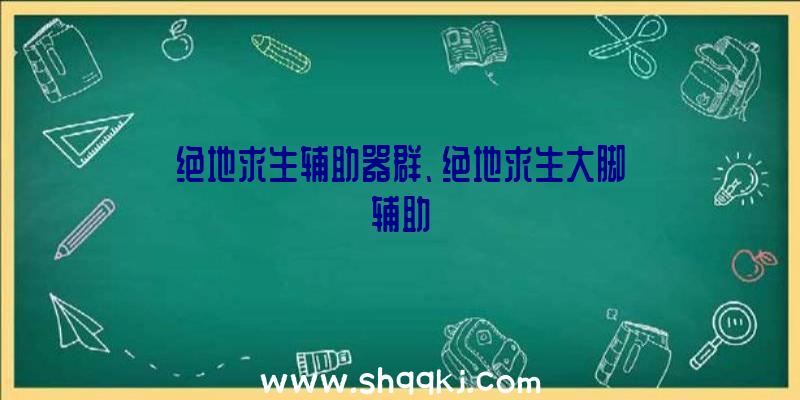 绝地求生辅助器群、绝地求生大脚辅助