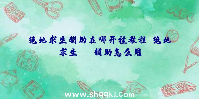 绝地求生辅助在哪开挂教程、绝地求生sss辅助怎么用