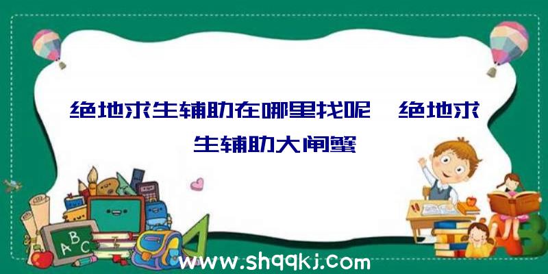 绝地求生辅助在哪里找呢、绝地求生辅助大闸蟹