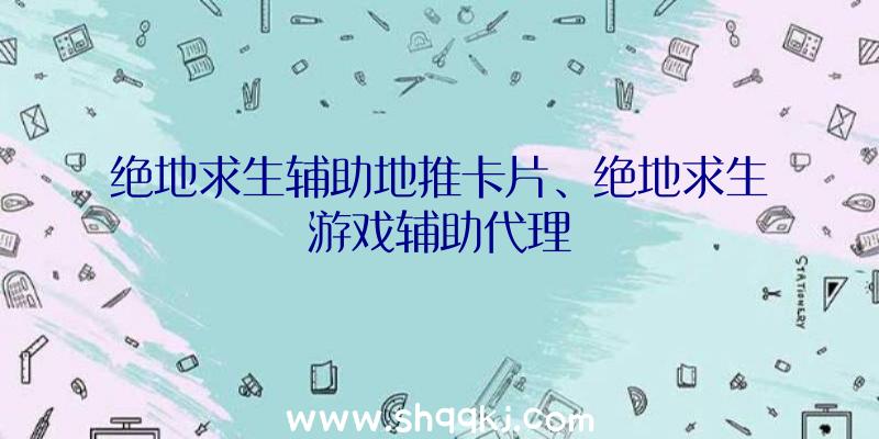 绝地求生辅助地推卡片、绝地求生游戏辅助代理