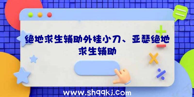 绝地求生辅助外挂小刀、亚瑟绝地求生辅助