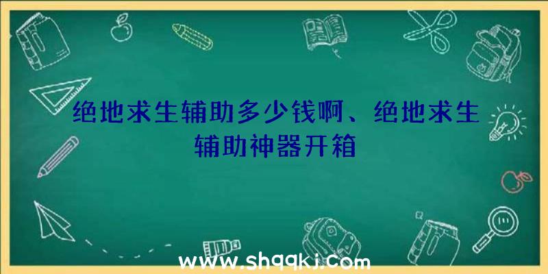 绝地求生辅助多少钱啊、绝地求生辅助神器开箱