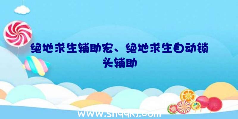 绝地求生辅助宏、绝地求生自动锁头辅助