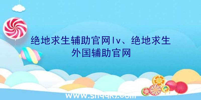 绝地求生辅助官网lv、绝地求生外国辅助官网