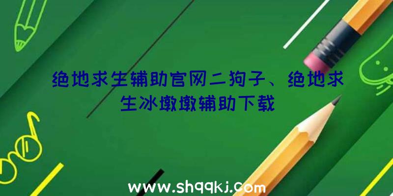 绝地求生辅助官网二狗子、绝地求生冰墩墩辅助下载