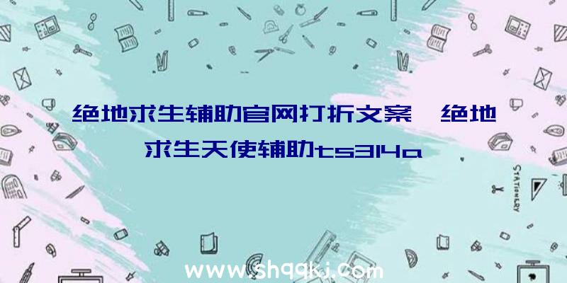 绝地求生辅助官网打折文案、绝地求生天使辅助ts314a