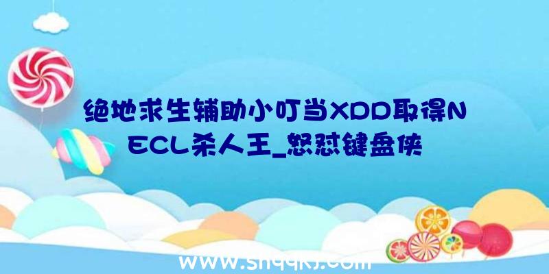 绝地求生辅助小叮当XDD取得NECL杀人王_怒怼键盘侠