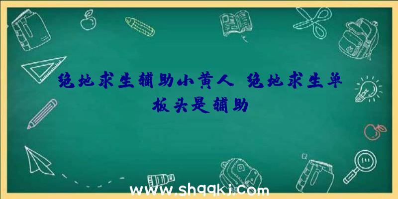 绝地求生辅助小黄人、绝地求生单板头是辅助