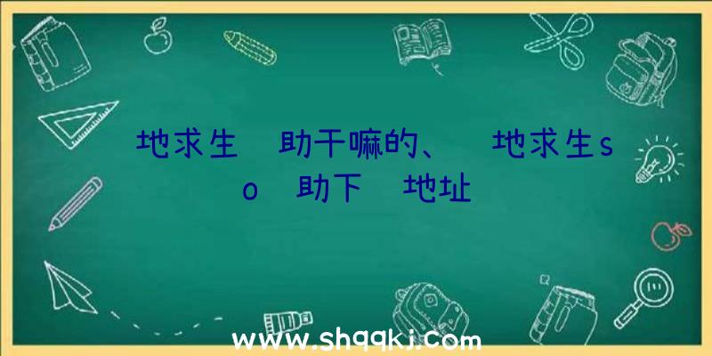 绝地求生辅助干嘛的、绝地求生so辅助下载地址