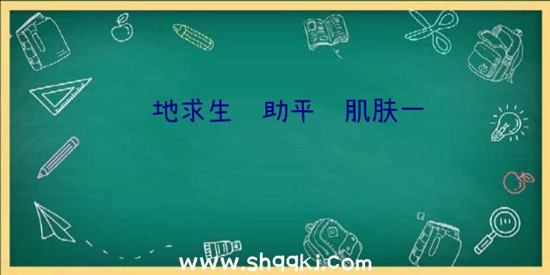 绝地求生辅助平锅肌肤一览