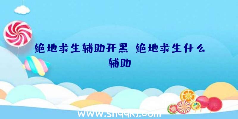 绝地求生辅助开黑、绝地求生什么辅助