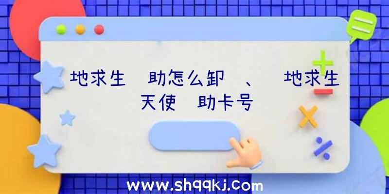 绝地求生辅助怎么卸载、绝地求生天使辅助卡号